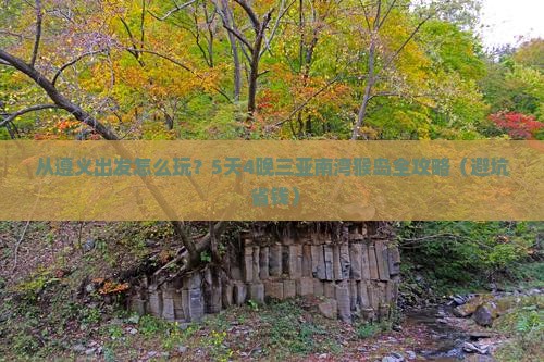 遵义出发三亚南湾猴岛旅游