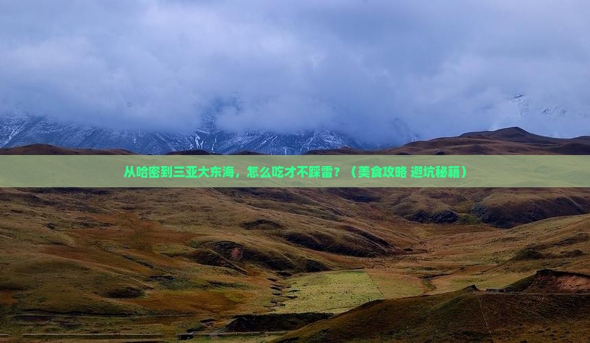 哈密去三亚大东海旅游小吃