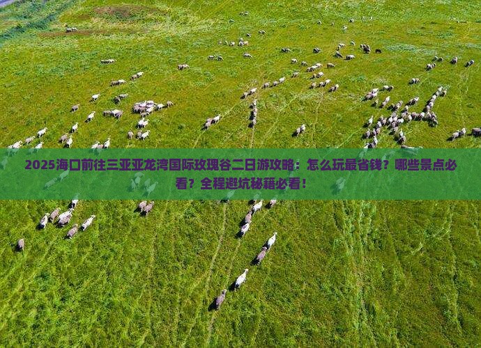 海口前往三亚亚龙湾国际玫瑰谷二日游
