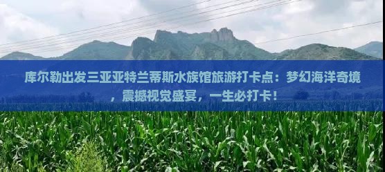 库尔勒出发三亚亚特兰蒂斯水族馆旅游打卡点