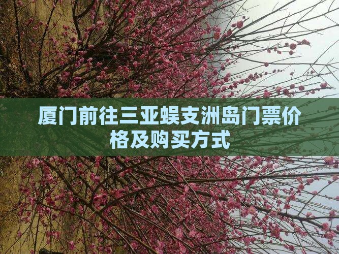 厦门前往三亚蜈支洲岛门票价格及购买方式