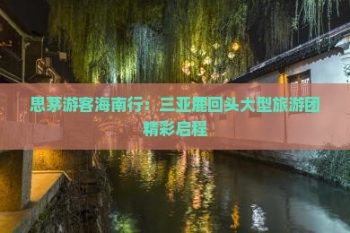 思茅游客海南行：三亚鹿回头大型旅游团精彩启程