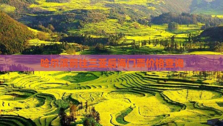 哈尔滨前往三亚后海门票价格查询