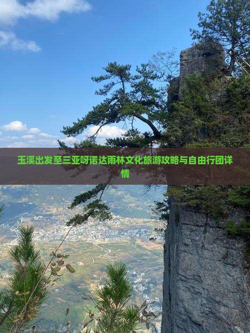 玉溪出发至三亚呀诺达雨林文化旅游攻略与自由行团详情