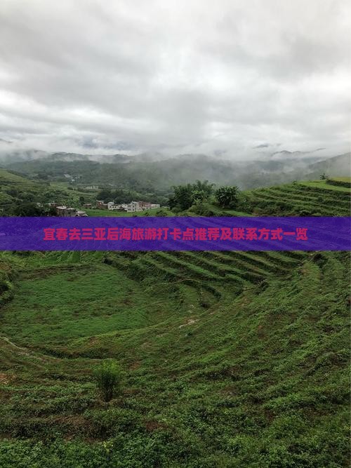 宜春去三亚后海旅游打卡点推荐及联系方式一览