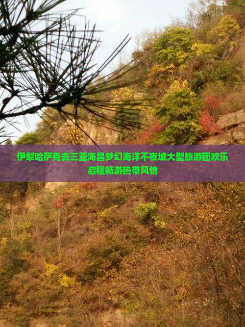 伊犁哈萨克去三亚海昌梦幻海洋不夜城大型旅游团欢乐启程畅游热带风情