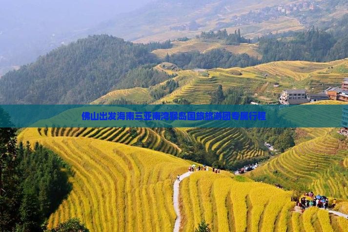 佛山出发海南三亚南湾猴岛国旅旅游团专属行程