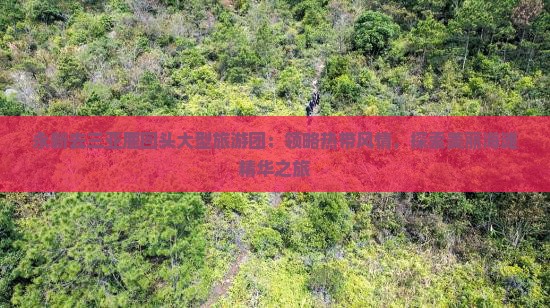 永新去三亚鹿回头大型旅游团：领略热带风情，探索美丽海滩精华之旅
