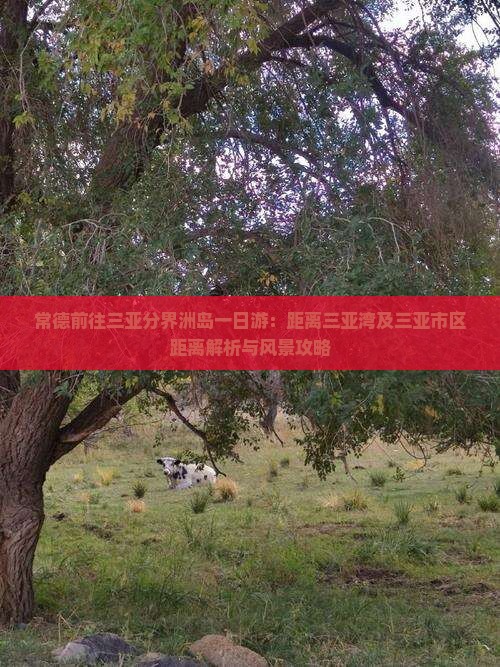 常德前往三亚分界洲岛一日游：距离三亚湾及三亚市区距离解析与风景攻略