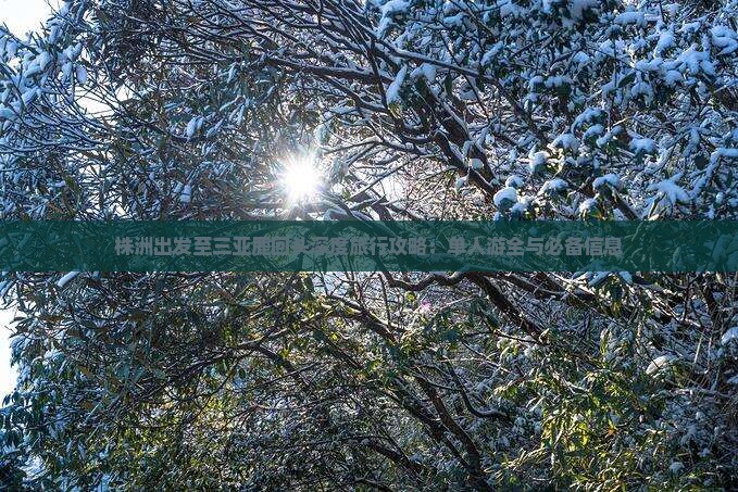 株洲出发至三亚鹿回头深度旅行攻略：单人游全与必备信息