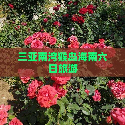 三亚南湾猴岛海南六日旅游