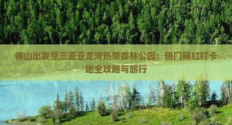 佛山出发至三亚亚龙湾热带森林公园：热门网红打卡地全攻略与旅行