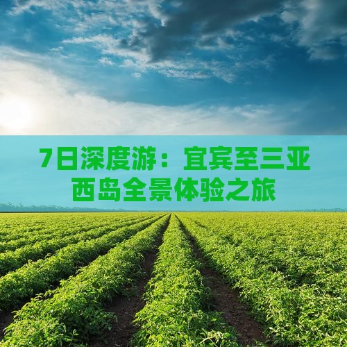 7日深度游：宜宾至三亚西岛全景体验之旅