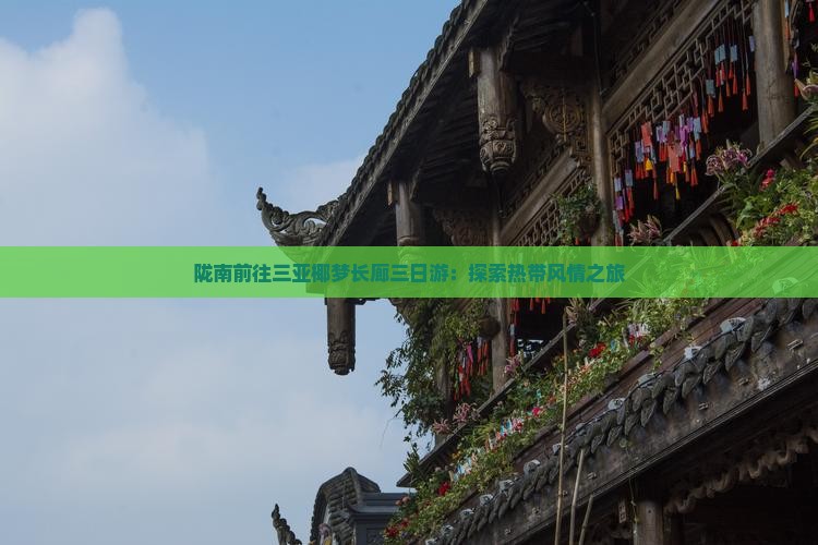 陇南前往三亚椰梦长廊三日游：探索热带风情之旅