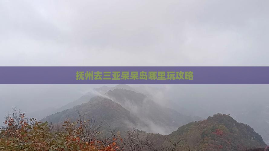 抚州去三亚呆呆岛哪里玩攻略