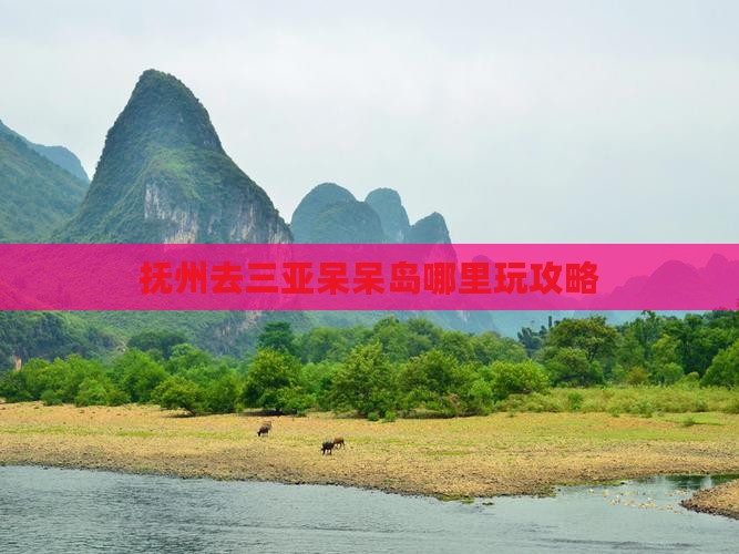 抚州去三亚呆呆岛哪里玩攻略