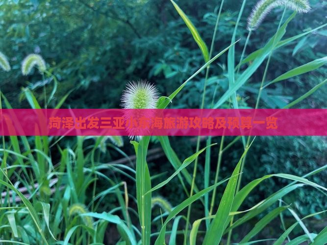 菏泽出发三亚小东海旅游攻略及预算一览 菏泽出发三亚小东海旅游攻略及预算一览