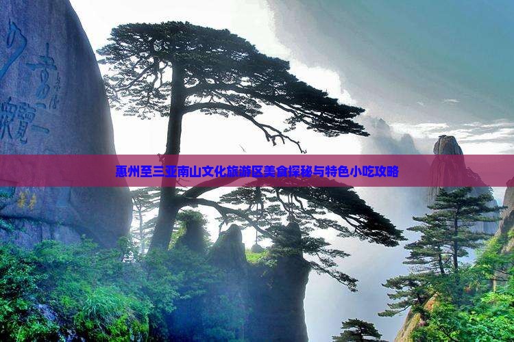 惠州至三亚南山文化旅游区美食探秘与特色小吃攻略