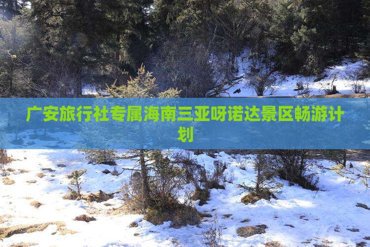 广安旅行社专属海南三亚呀诺达景区畅游计划