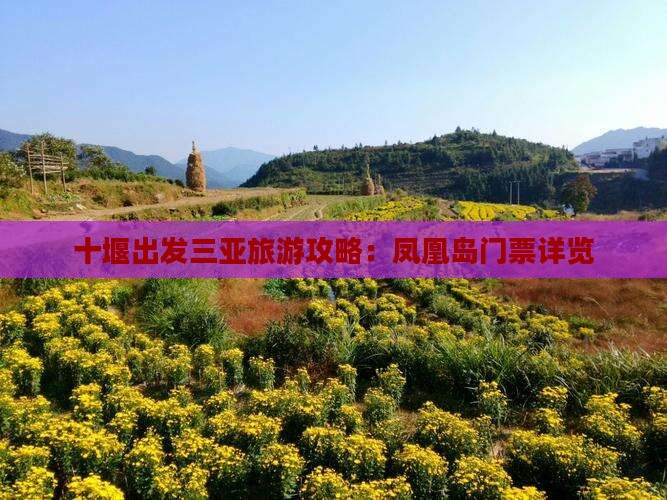 十堰出发三亚旅游攻略：凤凰岛门票详览