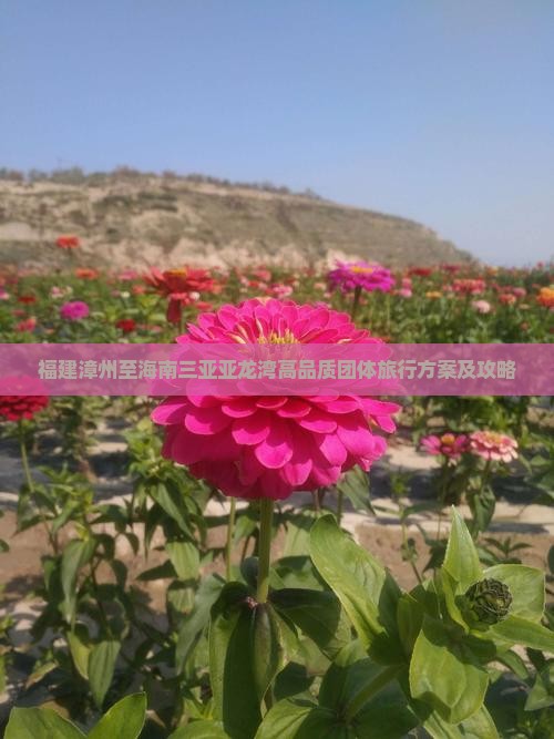 福建漳州至海南三亚亚龙湾高品质团体旅行方案及攻略