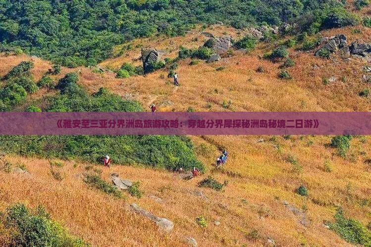 《雅安至三亚分界洲岛旅游攻略：穿越分界犀探秘洲岛秘境二日游》