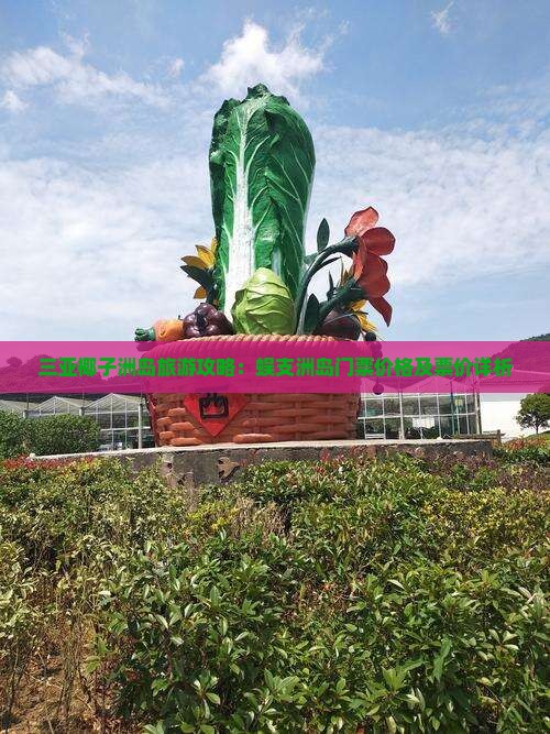 三亚椰子洲岛旅游攻略：蜈支洲岛门票价格及票价详析