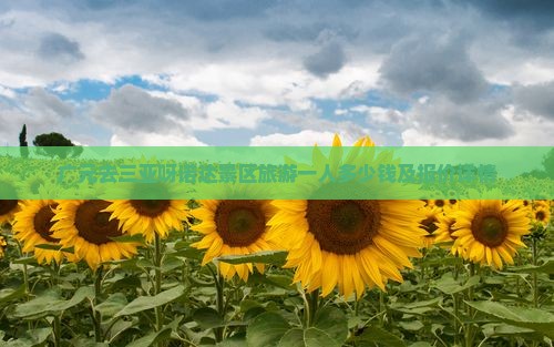 广元去三亚呀诺达景区旅游一人多少钱及报价详情