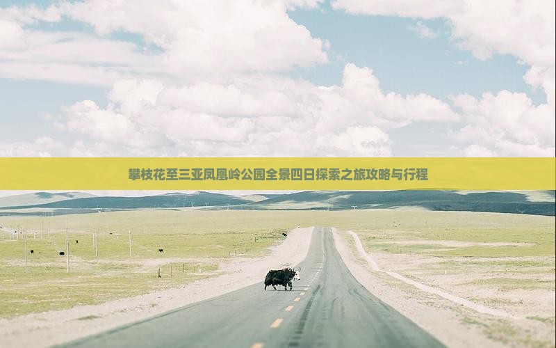 攀枝花至三亚凤凰岭公园全景四日探索之旅攻略与行程