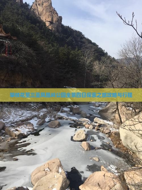 攀枝花至三亚凤凰岭公园全景四日探索之旅攻略与行程