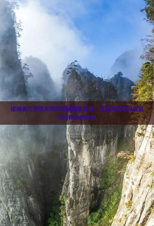 诸城去三亚亚龙湾国际玫瑰谷旅游，探寻浪漫花海盛宴与热带风情体验