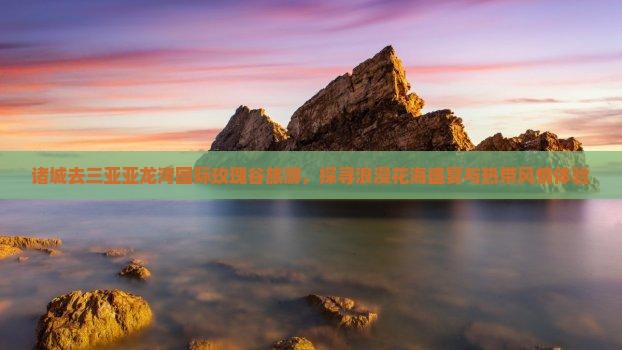诸城去三亚亚龙湾国际玫瑰谷旅游，探寻浪漫花海盛宴与热带风情体验