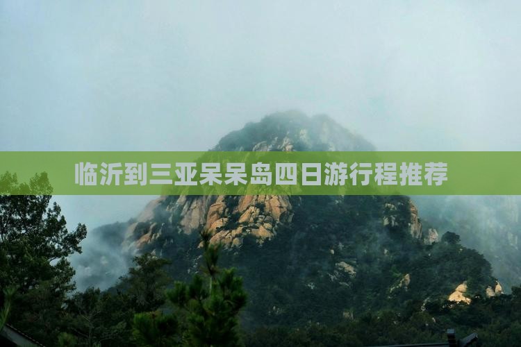 临沂到三亚呆呆岛四日游行程推荐