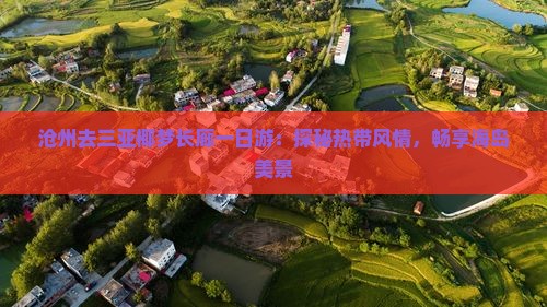 沧州去三亚椰梦长廊一日游：探秘热带风情，畅享海岛美景