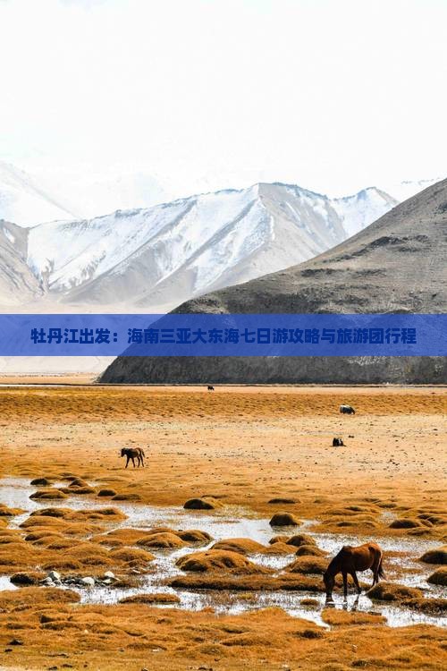 牡丹江出发：海南三亚大东海七日游攻略与旅游团行程