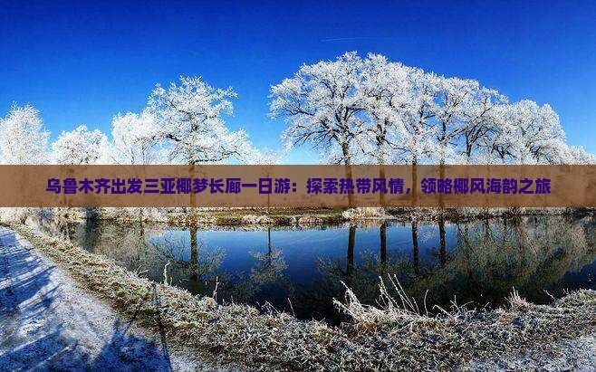 乌鲁木齐出发三亚椰梦长廊一日游：探索热带风情，领略椰风海韵之旅