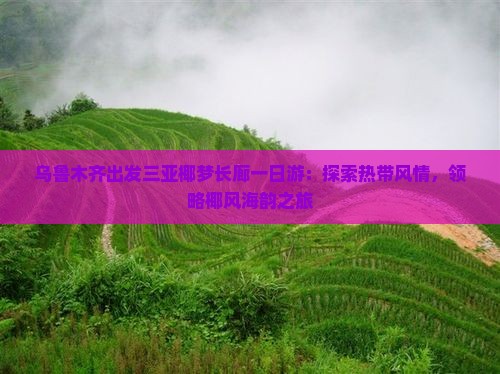 乌鲁木齐出发三亚椰梦长廊一日游：探索热带风情，领略椰风海韵之旅