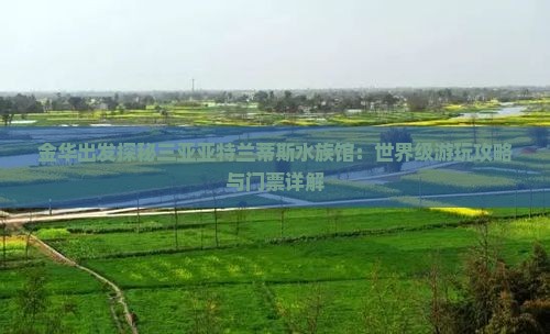 金华出发探秘三亚亚特兰蒂斯水族馆：世界级游玩攻略与门票详解