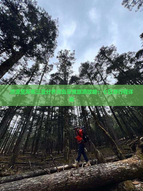 济源至海南三亚分界洲岛深度旅游攻略：七日游行程详解