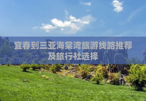 宜春到三亚海棠湾旅游线路推荐及旅行社选择