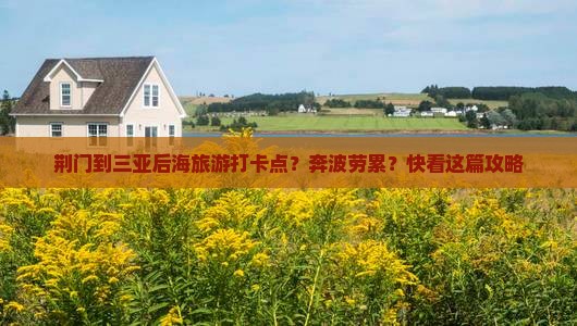 荆门出发三亚后海旅游打卡点