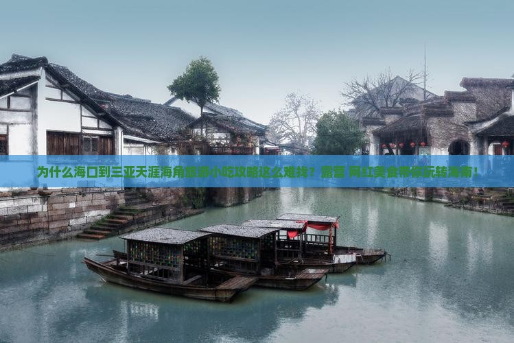 海口前往三亚天涯海角旅游小吃