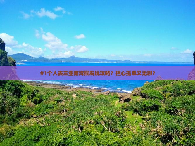 贵阳去三亚南湾猴岛个人游