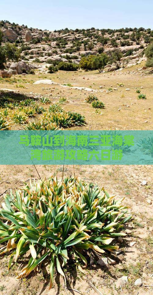 马鞍山出发三亚海棠湾六日游