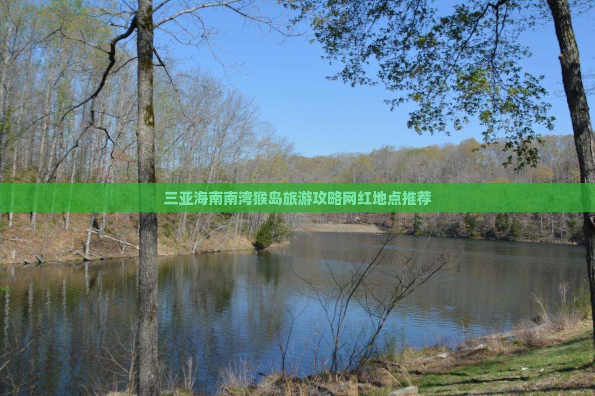 盘锦去三亚南湾猴岛旅游网红地点