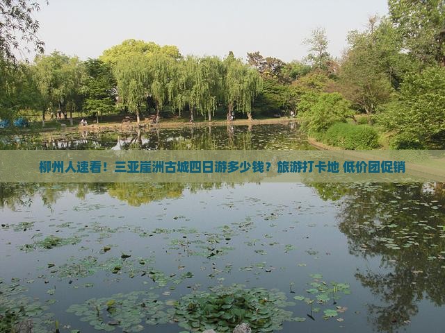 柳州前往三亚崖洲古城四日游