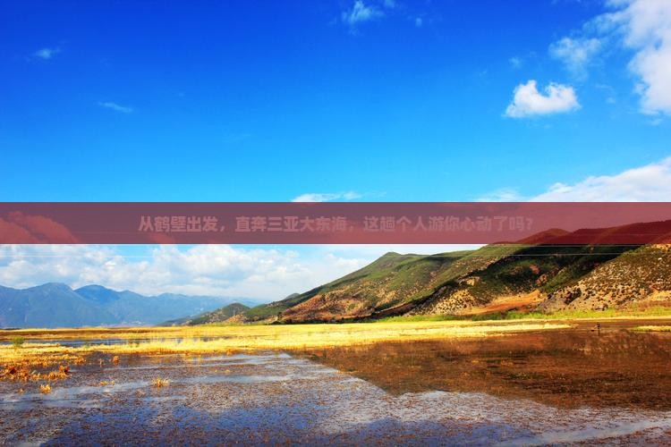 鹤壁前往三亚大东海个人游