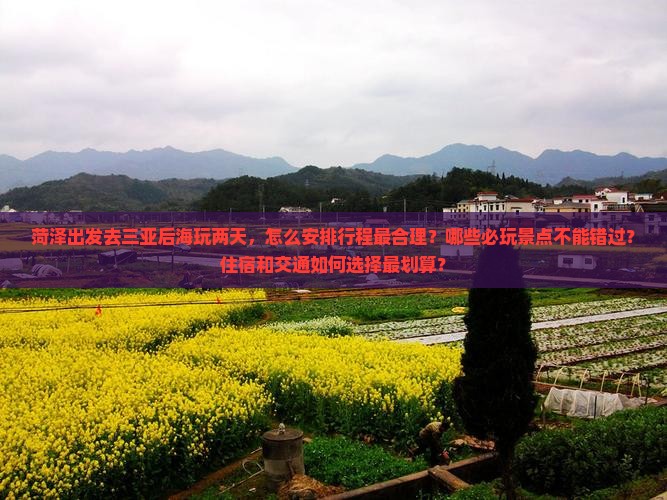 菏泽去三亚后海二日游