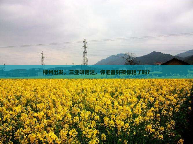 柳州前往三亚呀诺达景区攻略
