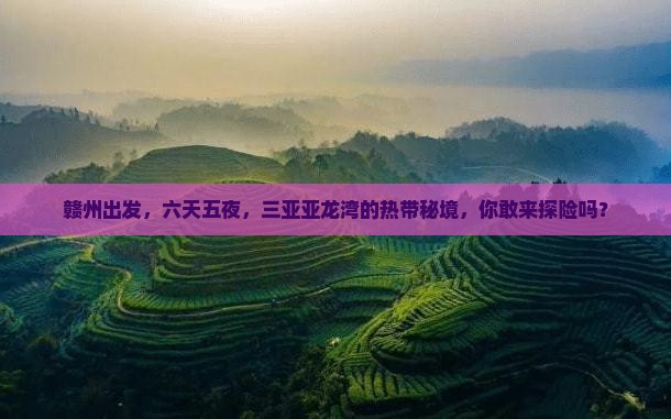 赣州前往三亚亚龙湾热带森林公园六日游